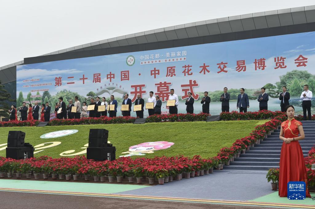 现金打鱼